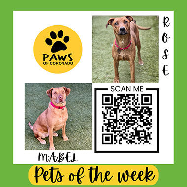 Adopt-A-Pet